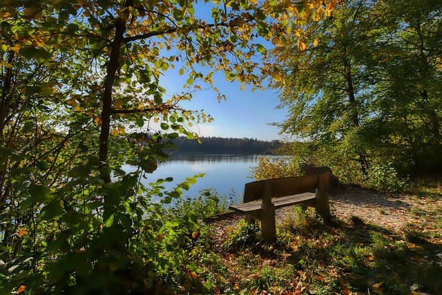 在壓力下的 在壓力下的