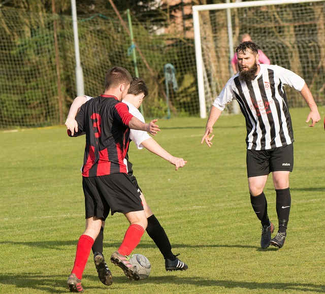 难以转化为 难以转化为